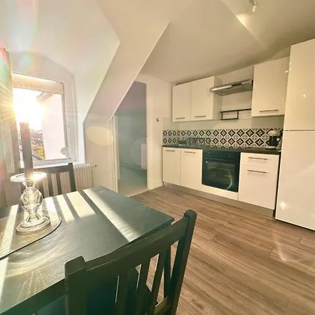 Le Bois Tordu דירה דיז'ון