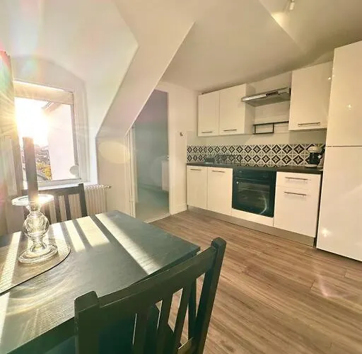 Le Bois Tordu Appartement Dijon